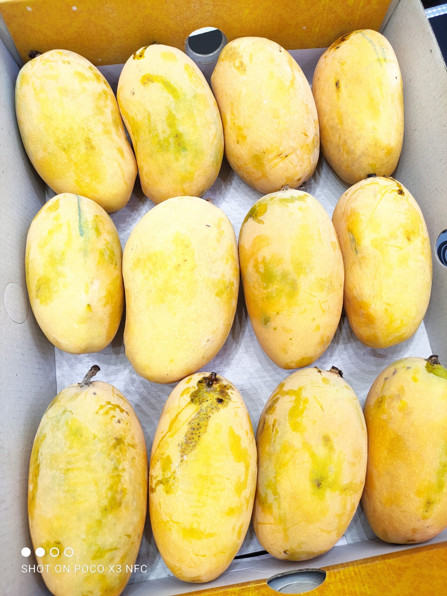 Multani White Chaunsa Hand Picked Premium Quality 05Kg