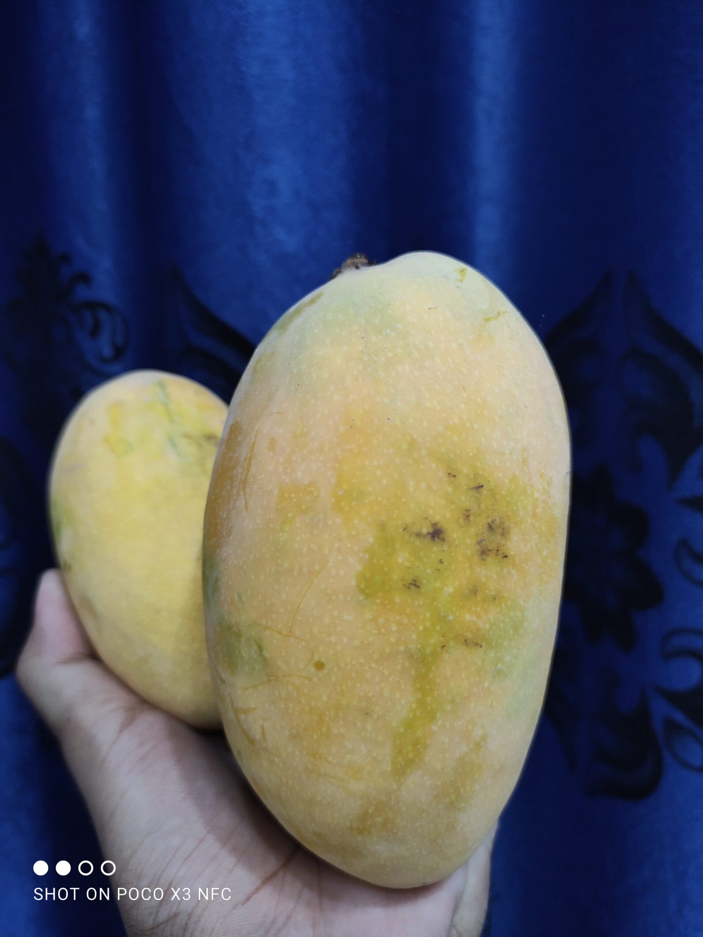 Multani White Chaunsa Hand Picked Premium Quality 05Kg