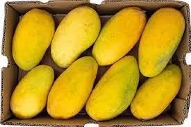 Multani Sindhri Mangos Hand Picked Premium Quality 09kg