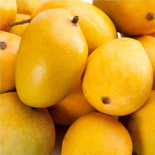 Multani Anwar Ratol Mangoes Premium Quality 05 kg
