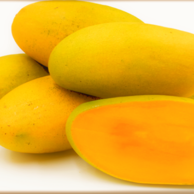 Multani Dusheri Mangoes Premium Quality  09kg Box