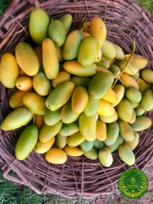 Multani Dusheri Mangoes Premium Quality  05kg Box