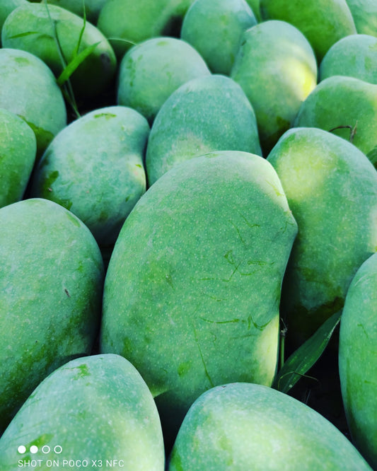 Multani White Chaunsa Hand Picked Premium Quality 05Kg