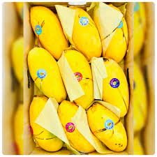 Multani Sindhri Mangos Hand Picked Premium Quality 05kg